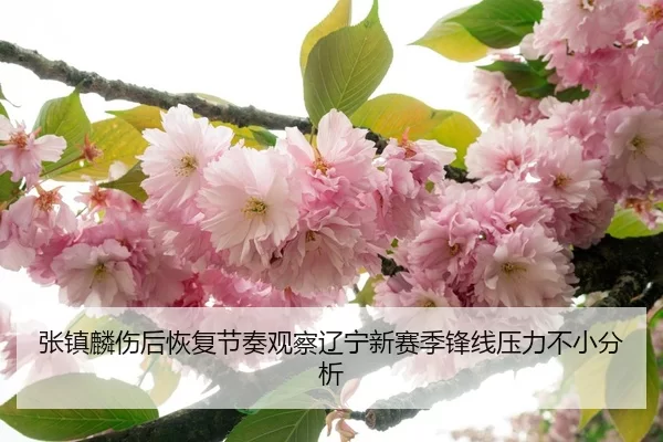 张镇麟伤后恢复节奏观察辽宁新赛季锋线压力不小分析