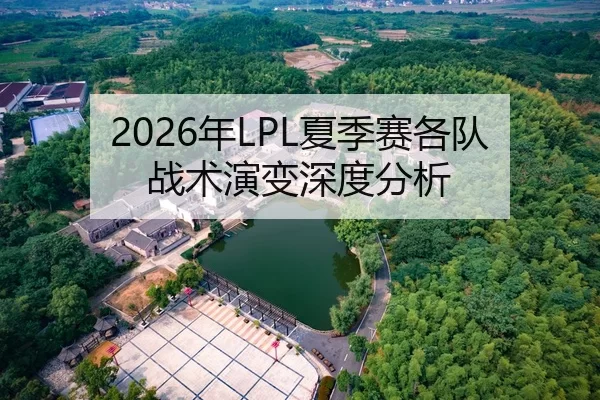 2026年LPL夏季赛各队战术演变深度分析